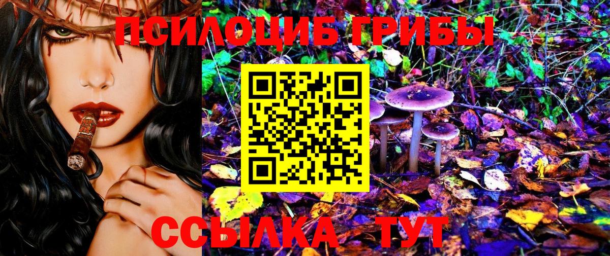 Корсаков  Галлюциногенные грибы MAGIC MUSHROOMS  Галлюциногенные грибы Psilocybe  наркотики  Вход с VPN 