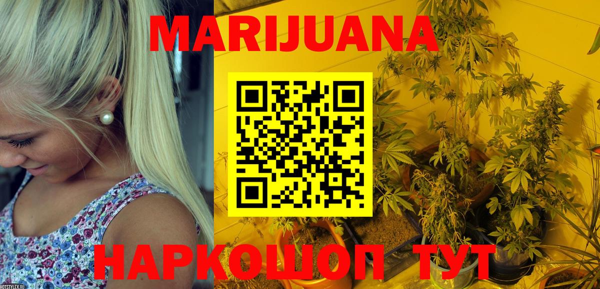 Канабис конопля Корсаков